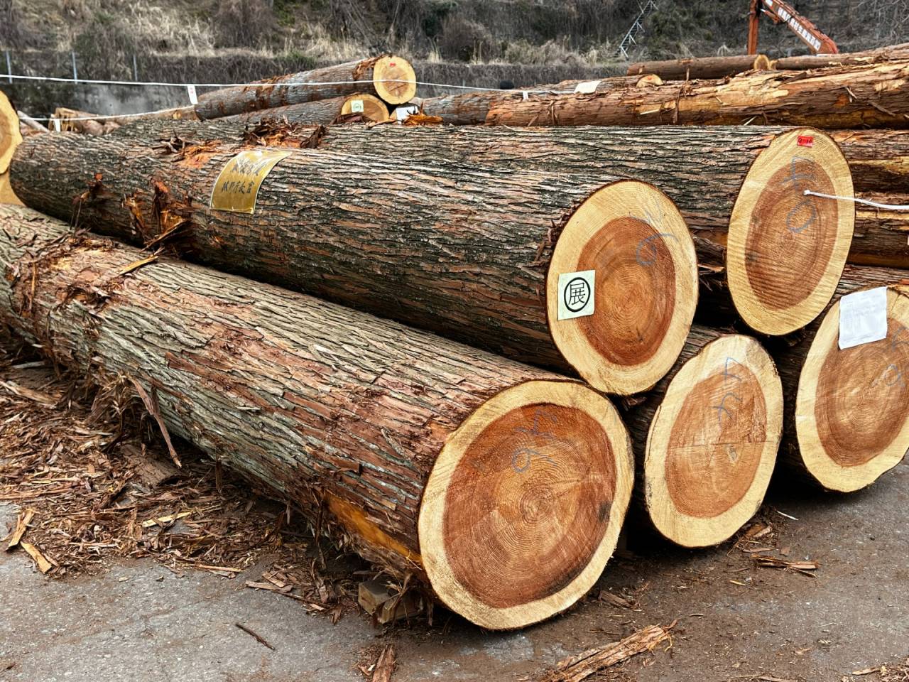 第45回上州産優良素材展示会市最優秀賞(林野庁長官賞)受賞のお知らせ