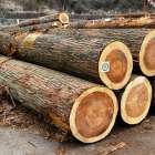 第45回上州産優良素材展示会市最優秀賞(林野庁長官賞)受賞のお知らせ